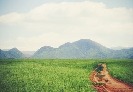 rural plains - fields, plain, road, mountain