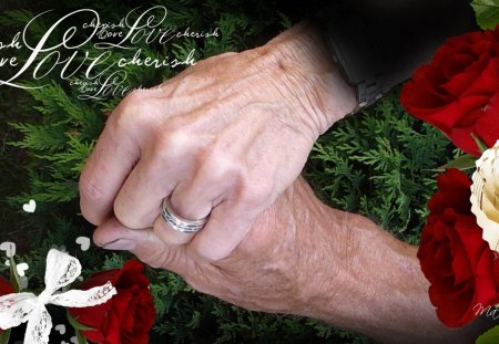 Together Forever - collage, red roses, cedar, grandmother, grandfather, wrinkles, ribbon, mother, marriage, love, tree, hands, ring, bow, father, lovers, hearts