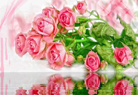 Pink roses reflection - delicate, pretty, pink, beautiful, harmony, leaves, roses, reflection, nice, lovely, nature