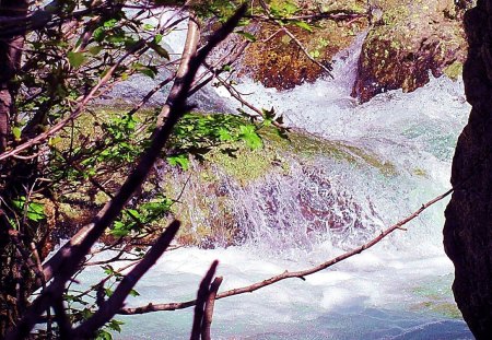 Yellowstone Forest Bubbling Water - river, water, waterfall, creek, stream, yellowstone