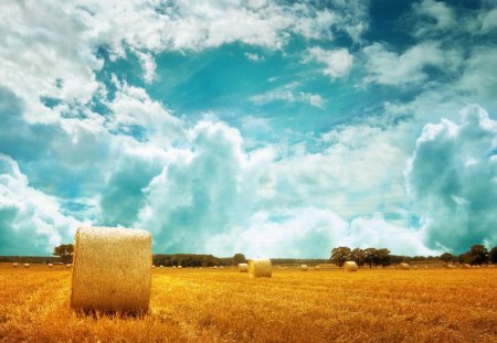 Hay Field - nature, sky, autumn, beautiful, field