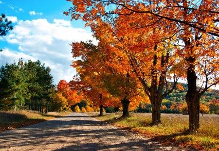 Autumn Lane - nature, beautiful, autumn, lane, road