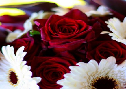 PRETTY FLOWERS - flowers, roses, gerberas, close-up, white, burgundy, bouquet