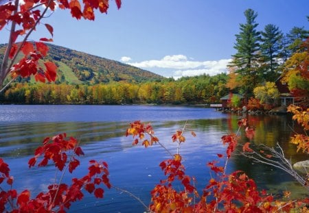 Autumn Lake - landscape, trees, water, leaves, colors