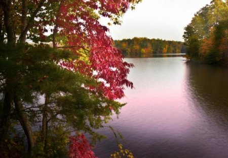 lake in autumn - trees, water, ture, landscape, colors, leaves, autumn, view, lake, color, woods