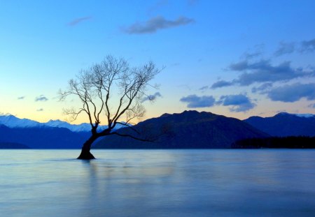 LAKE - calm, lake, mountain, tress