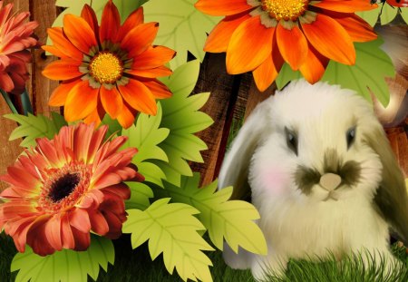 Hiding in Plain Sight - autumn, chrysanthemum, daisy, bunny, rabbit, fall, fleurs, gerbera, leaves, orange, sweet, flowers, grass, cute