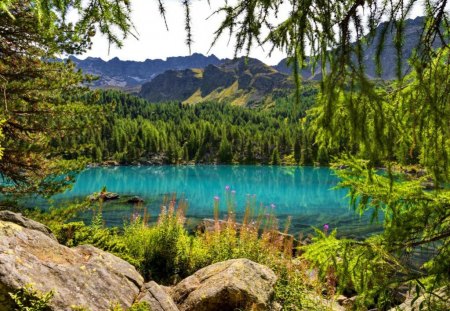 Blue lake hidden in the mountain - branches, lake, mountain, trees, peaceful, hidden, summer, rocks, bushes, nature, calmness, reflection, emerald, blue, flowers, stones