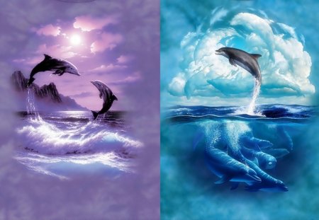 Two Dolphins - dolphins, animals, sea, collages