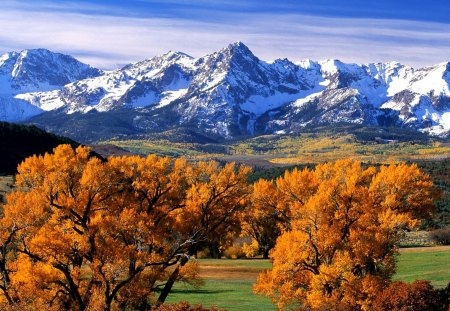 Autumn light - amazing, fields, beautiful, splendor, snow, landscape, great, colors, mountain, tree, fall, nature, season, picture, awesome, autumn