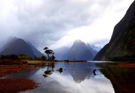 MOUNTAIN LAKE - nature, landscape, lake, mountain, tree