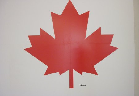 Maple Leaf - white, red, flower, maple leaf