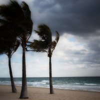 Windy Winter Beach