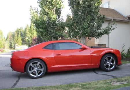 Chevrolet 2010 Camaro  - chevrolet, trees, camaro, tires, orange, green, grass, black