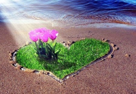 Let Your Love Shine Along the Shore - flowers, sunlight, heart, beach, sand