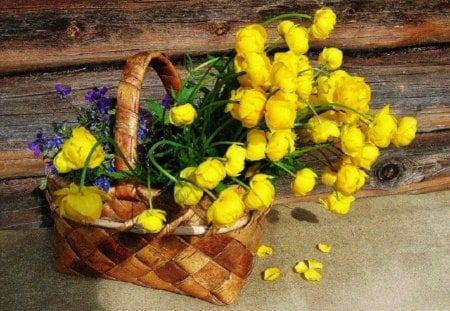 Basket of Beautiful Yellow Lovliness - basket, flowers, yellow, roses