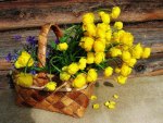 Basket of Beautiful Yellow Lovliness