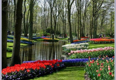 Scenic Floral Gardens - gardens, flowers, scenic, waterway