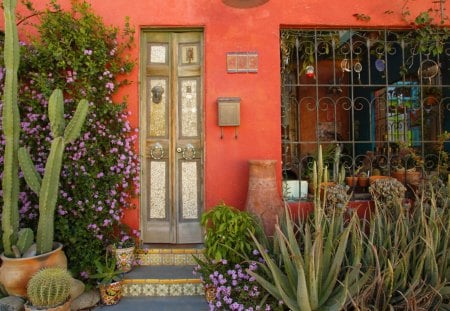 historic home in tuscon arizona - house, door, cactus, window