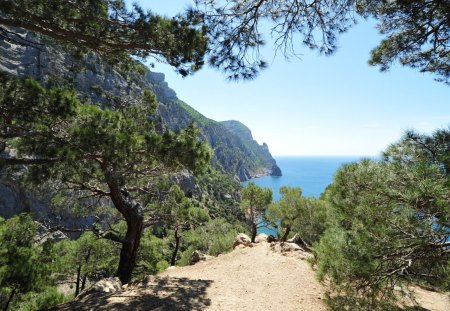 seacoast in balaklava crimea ukraine - forest, sea, cliffs, coast