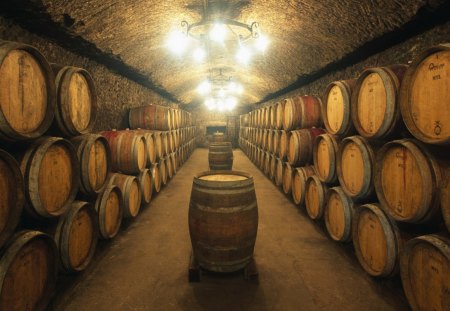 barrels of wine aging - room, barrels, stacked, lights