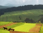 perfect rural alpine landscape