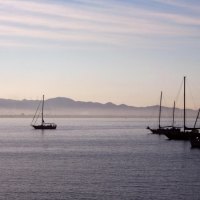sailboats ona calm sea