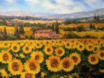 Paolo Bigazzi. Sunflowers in Tuscany