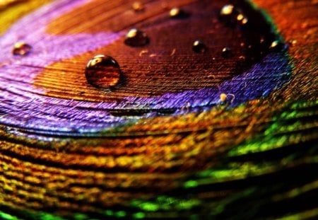 ~dewy beads~ - nature, rainbow, colour, color, dewdrop, dewy, beads