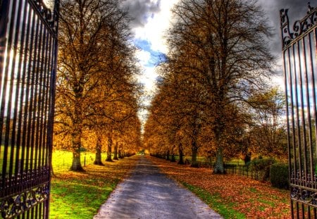 Autumn Colors - beauty, autumn, sky, trees, peaceful, autumn leaves, path, carpet of leaves, road, view, clouds, green, tree, grass, gate, park, autumn splendor, lovely, nature, pathway, autumn colors, alley, door, beautiful, leaves, splendor, colors