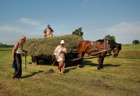 Poland, which is no more ... - horse, hay, haymaking, ground, poland