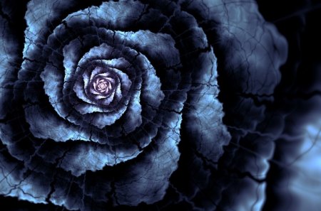 Blue Rose Andreea - blue, cg, flower, artistic