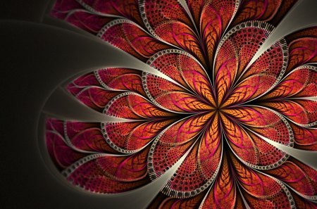 Petals - creative, pattern, petals, lines, abstract, art