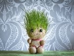 Grass head doll