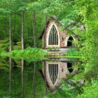 Charming Church Nestled in the Woods