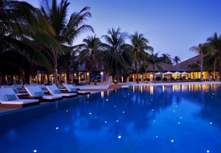 Evening pool - relaxing, resorts, palm tree, night, water, bench, pool