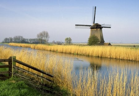 Holland Windmill - holland, field, water, windmill