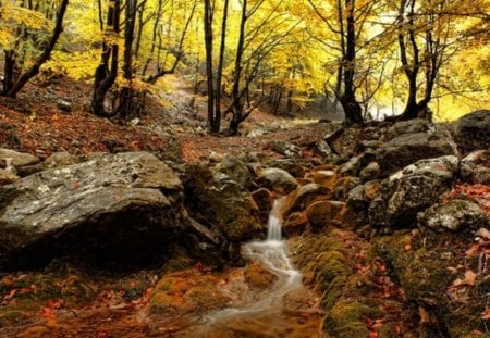 Hemus - forest, fall, pretty, photogrpahy, rocks, water, photo, spring, leaves, trees, nature, mountain, autumn, bulgaria