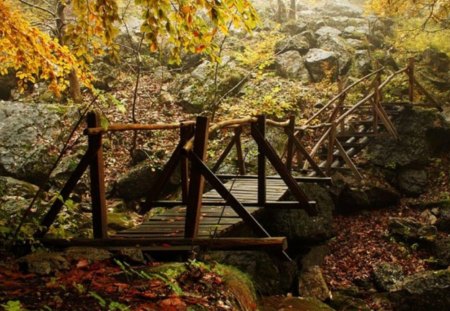 Eco-path - beauty, autumn, mountain, trees, photography, spring, rocks, nature, fall, forest, leaves, colors, photo, bridge, bulagria