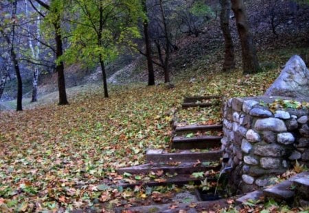 Autumn walk - stairs, stone, autumn, mountain, trees, photography, nature, fall, forest, leaves, photo, bulagria