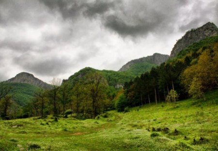 Bulgaria - nice, mountain, trees, photography, nature, view, evergreen, forest, cloudy, beautiful, green, grass, photo, bulagria