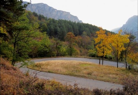 Autumn Road - trees, photography, road, colors, forest, photo, leaves, mountain, fall, colorful, nature, season, autumn, bulgaria