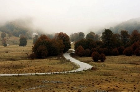 Foggy Road - foggy, grass, photo, leaves, mountain, path, field, color, trees, fog, photography, road, beauty, fall, colorful, nature, beatuful, autumn, bulgaria