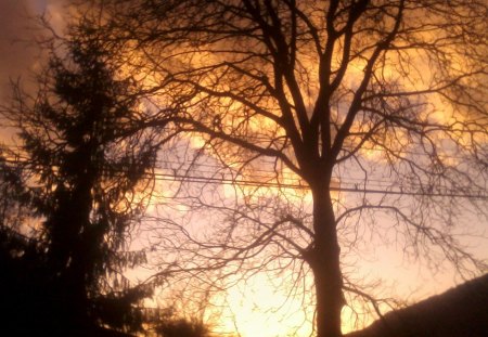 Sunset - spring, sunset, tree, sun