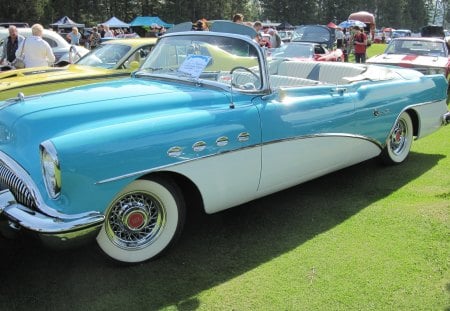 1952 Buick - buick, headlights, black, tires, grass, blue, white, photography, green