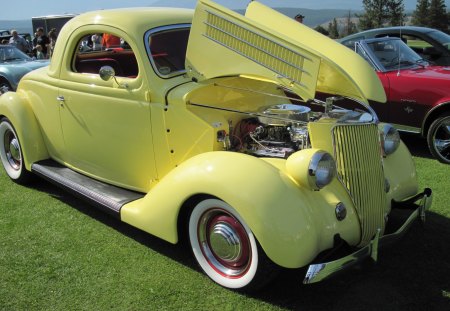 1936 yellow Ford - trees, tires, yellow, headlights, Engine, Photography, nickel, black, Ford, white