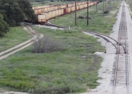 Railroad Cars - railroad cars, tracks, railroad tracks, grass