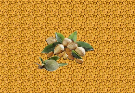 Almonds - Amandes - nature, green, brown, collage, almond, fruits