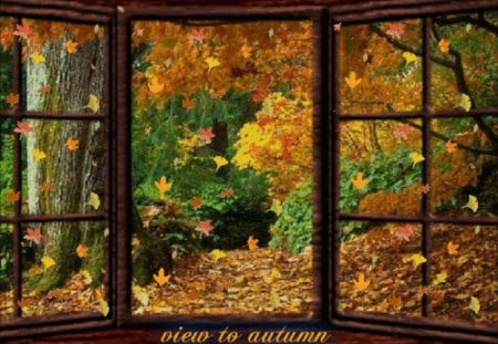 view on autumn - nature, view, autumn, window, trees, fall leaves