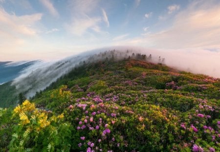 * Beautiful nature * - nature, sky, mountain, clouds, flowers, mist